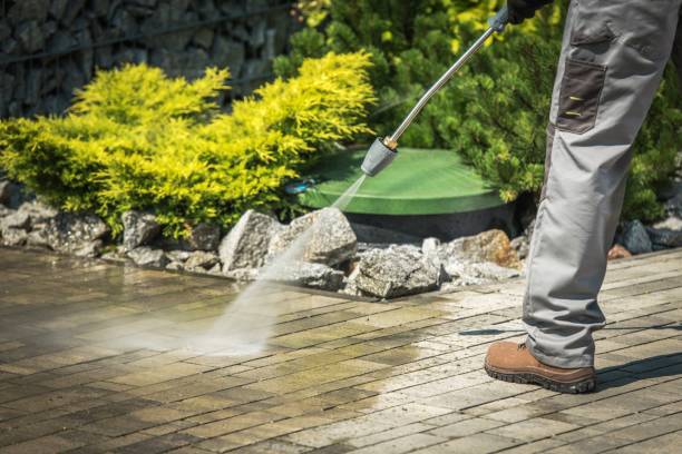 Boat and Dock Cleaning in Highlandville, MO