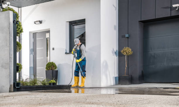 Best Sidewalk and Walkway Cleaning  in Highlandville, MO